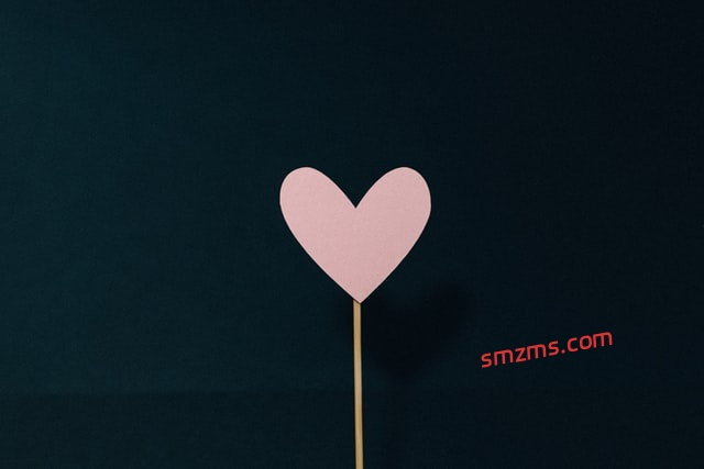 图片[1]-温柔的暗恋文案短句 - 易得函-易得函