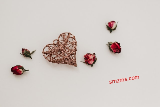 图片[1]-偷偷喜欢的暗恋文案 - 易得函-易得函