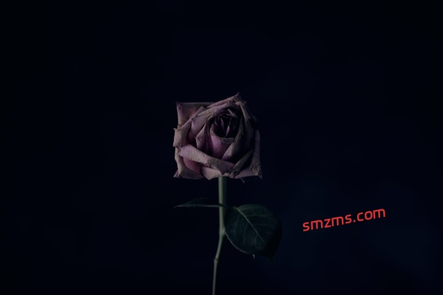 图片[1]-非常丧的扎心句子 - 易得函-易得函