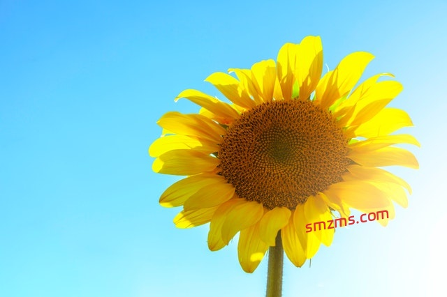 图片[1]-50个温暖美好的小句子 - 易得函-易得函