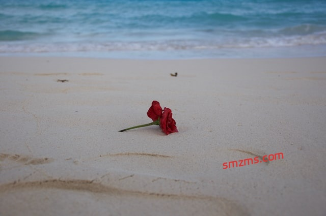 图片[1]-50句关于失恋的短句子 - 易得函-易得函