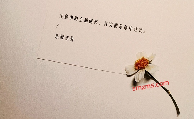 图片[1]-那些关于释然的文案 - 易得函-易得函