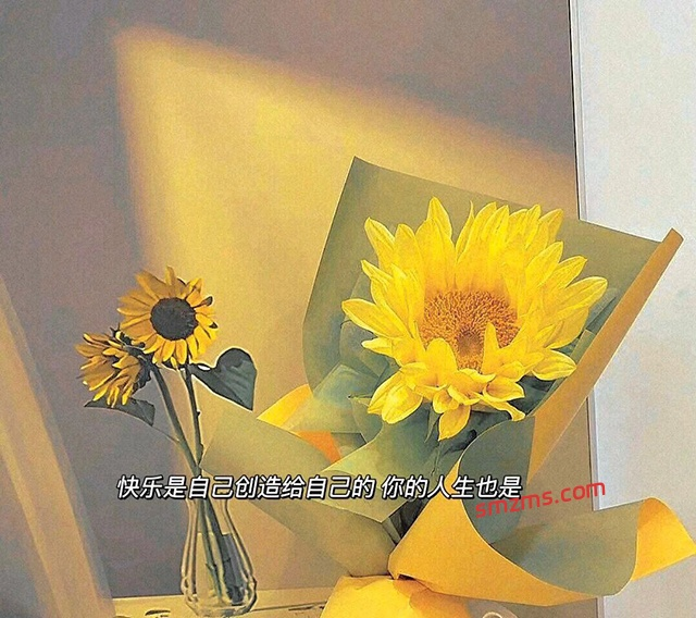 图片[1]-适合小情绪的释然句子 - 易得函-易得函