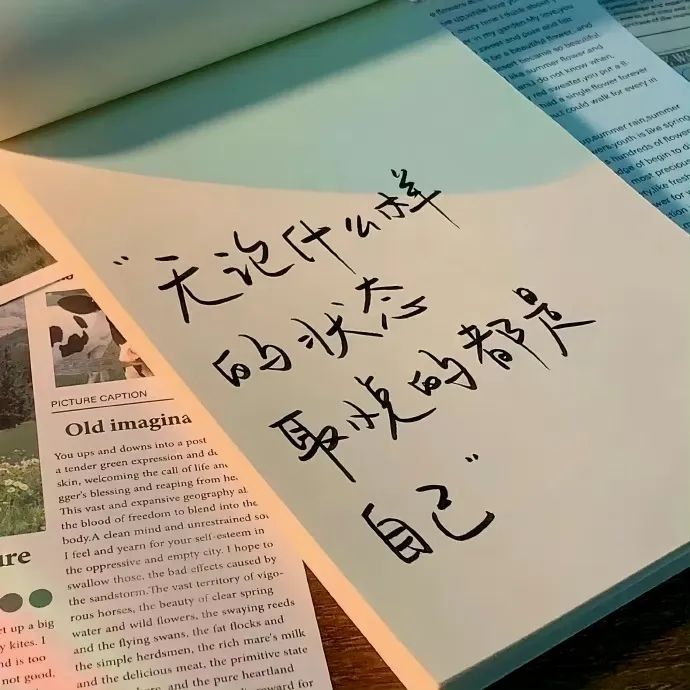 图片[1]-不烂大街的情绪文案 - 易得函-易得函