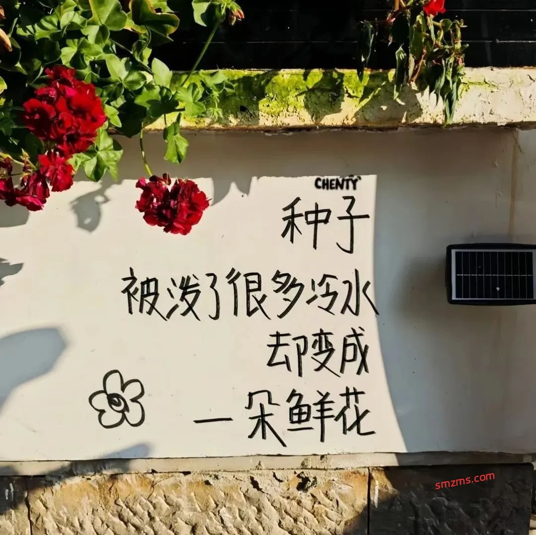 图片[1]-虐心到极致的伤感文案-易得函