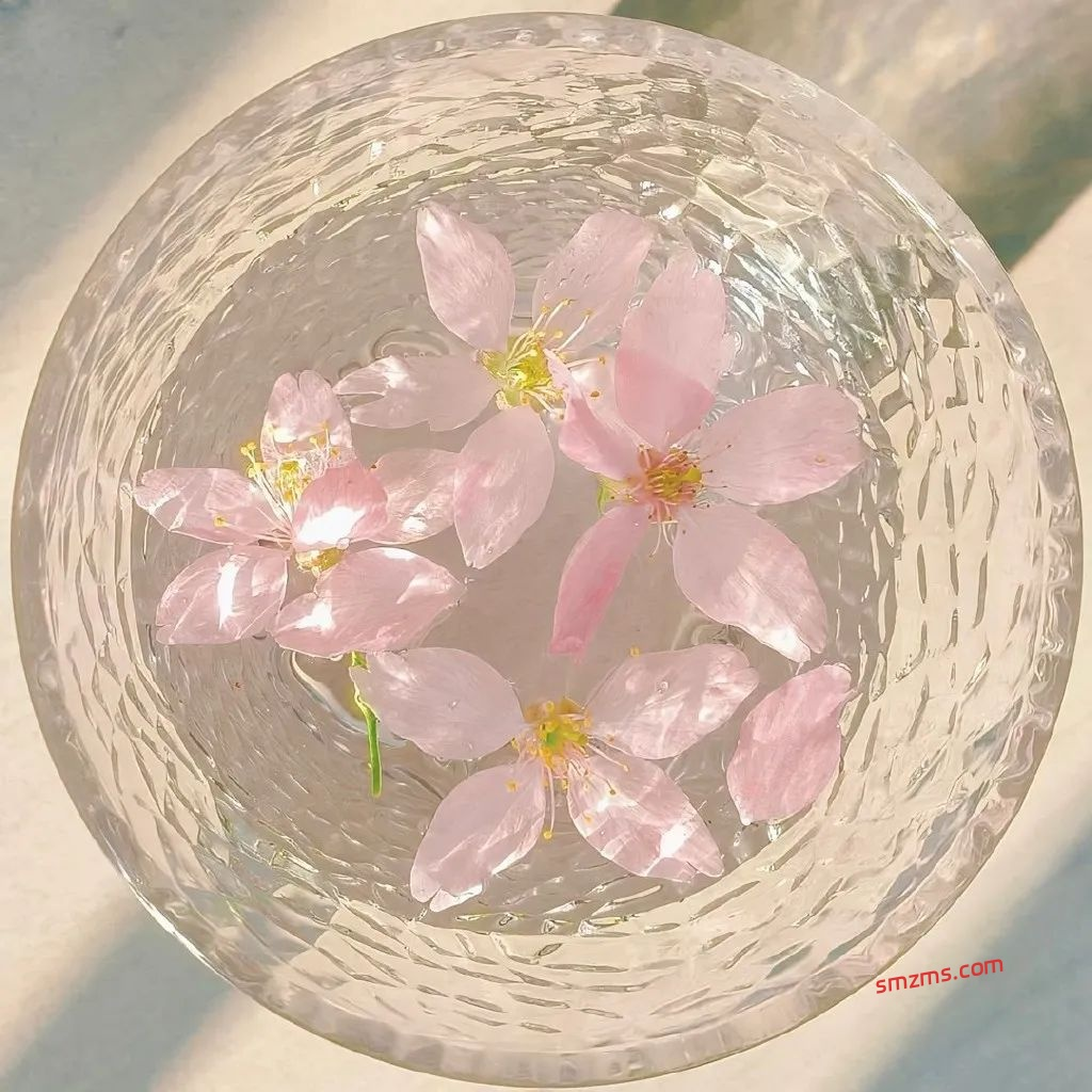 图片[1]-那些甜到心里的恋爱文案 - 易得函-易得函