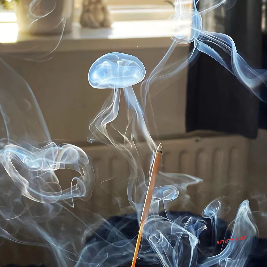 图片[1]-自由感十足的高级文案 - 易得函-易得函