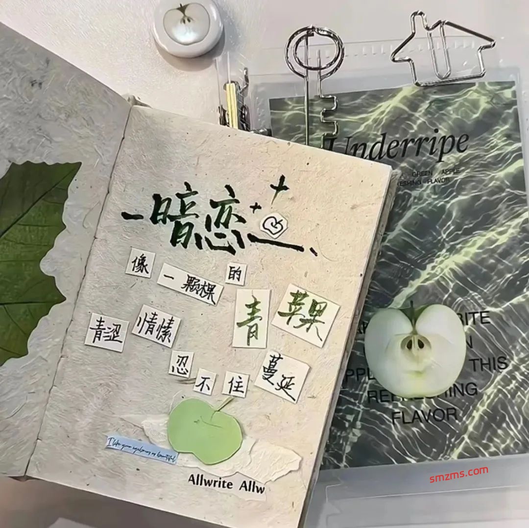 图片[1]-那些藏在青春期里的暗恋文案-易得函