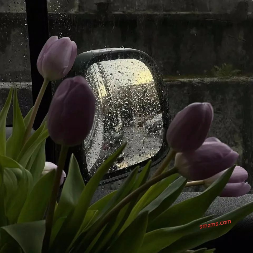 图片[1]-八个字道尽遗憾的文案 - 易得函-易得函