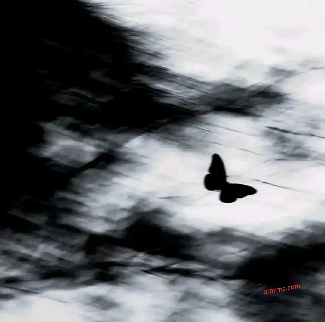 图片[1]-后劲很大的emo文案！瞬间戳中你的心 - 易得函-易得函