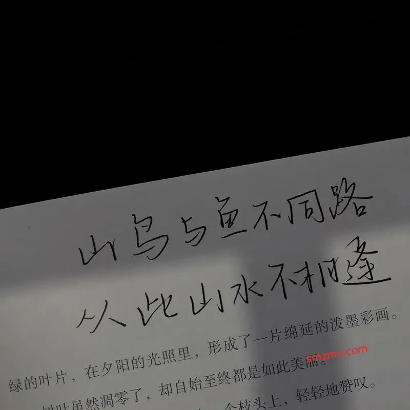 图片[1]-让人意难平的退场文案，后劲很大-易得函
